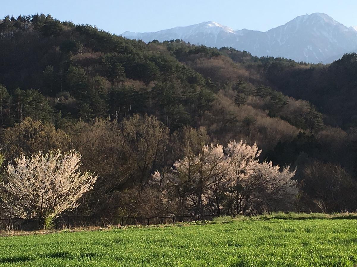別荘 Alps & *