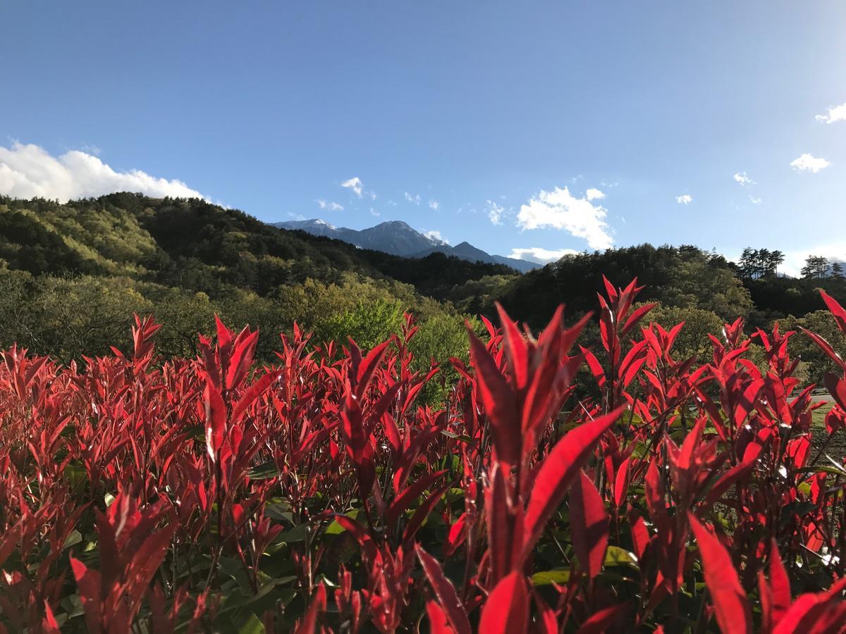 Alps & Hokuto (Yamanashi)